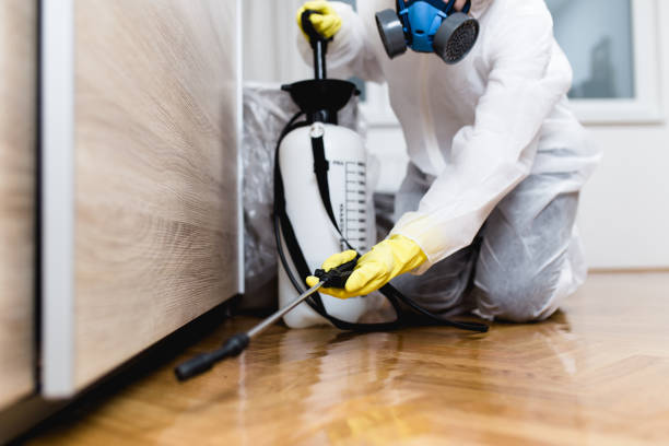 Best Cockroach Control Services  in Manson, IA