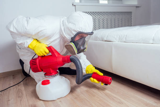 Best Mosquito Control Services  in Manson, IA