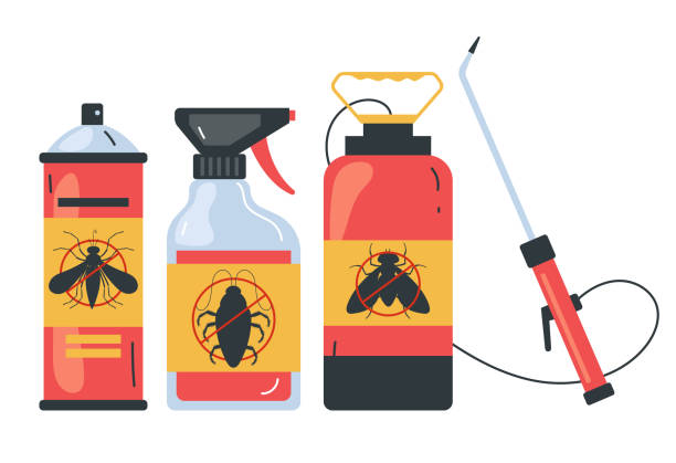Best Pest Removal Services  in Manson, IA