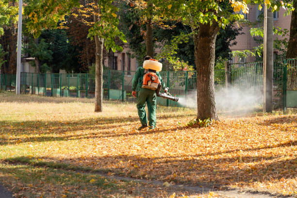Best Pest Prevention Services  in Manson, IA