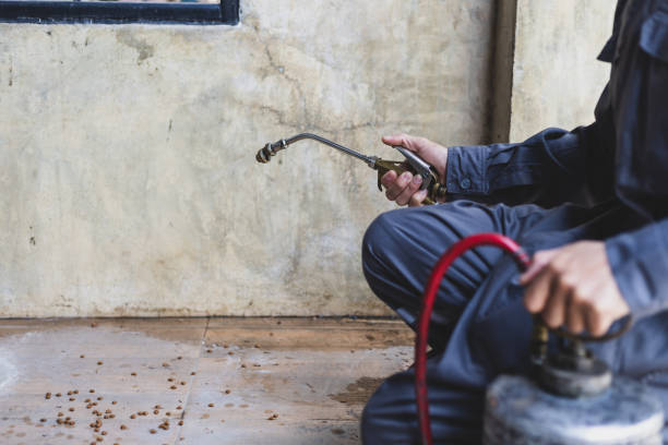 Best Affordable Pest Control Services  in Manson, IA