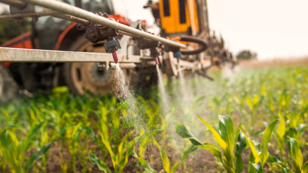 Best Best Pest Control Companies  in Manson, IA